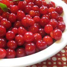 Cherry, Montmorency